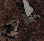 OroscoFamily.png