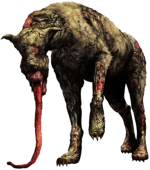 Perro Macho