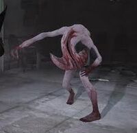 ImagesCAOANR9H.jpg