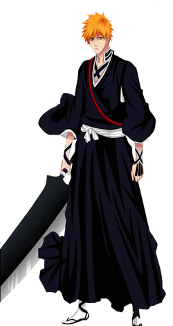 Ichigo-kurosaki-ichigo-26614692-655-1232