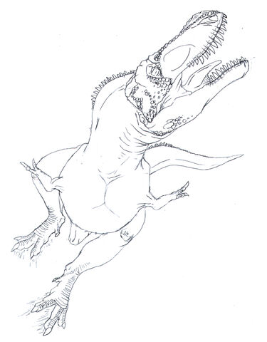 File:Albertosaurus.jpg