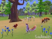 Review wii simanimals02 130409