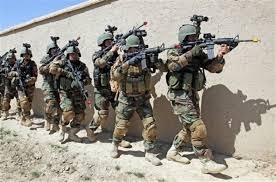 ANSF SFS
