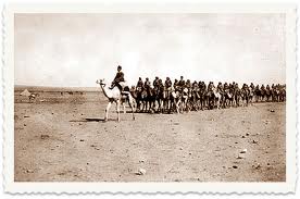 Asir cavalry