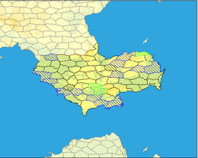 Bandria Granda (WG)