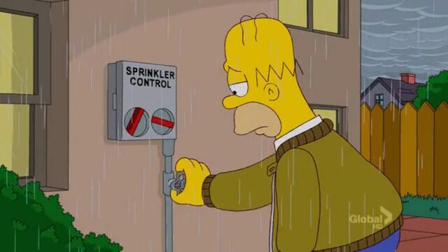 File:A Tree Grows In Springfield (082).jpg