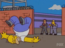 Homer demitido 15x10