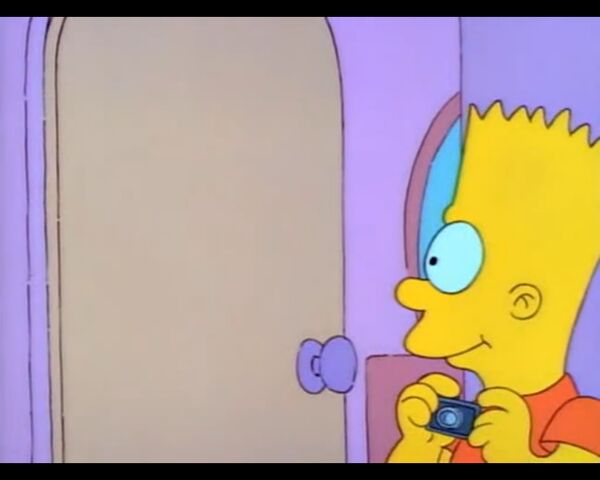 File:Homer's Night Out (063).jpg