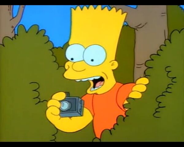 File:Homer's Night Out (067).jpg