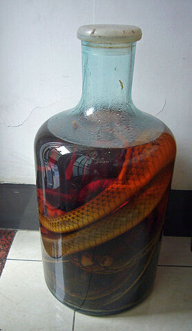 File:Snake wine.jpg