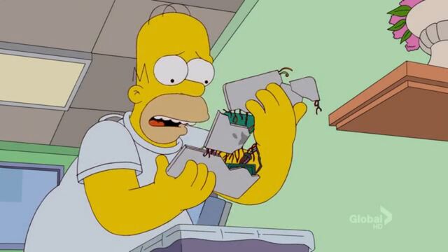 File:A Tree Grows In Springfield (261).jpg
