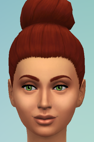 File:YfHair bunLargeHigh.png