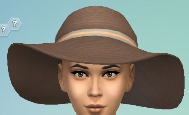 File:YfHat SunHat brown.jpg