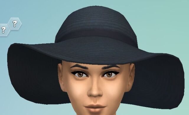 File:YfHat SunHat black.jpg