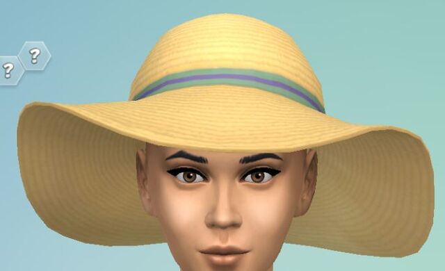 File:YfHat SunHat tan.jpg