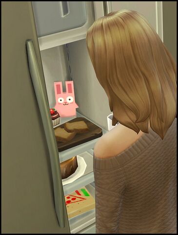 File:Freezer Bunny fridge.jpg