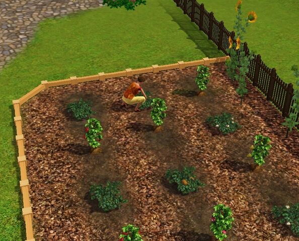 File:Bachelor Home Garden.jpg