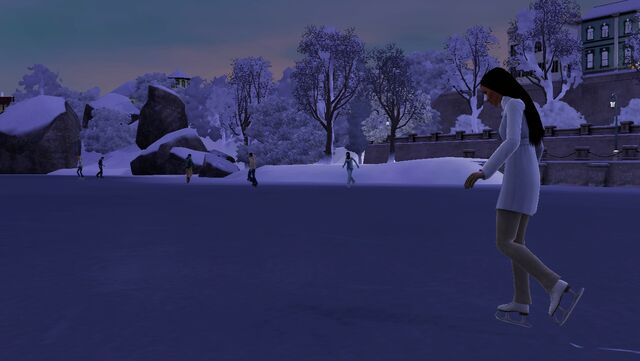 File:Skating on Twinbrook lake.jpg