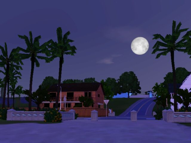 File:Beach At Night.jpg