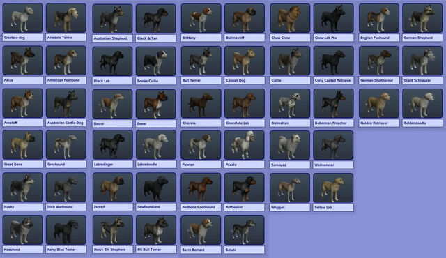 File:LargeDogs.jpg