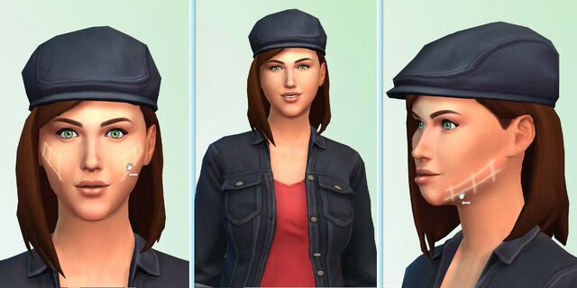 Fil:TS4.010.CAS8 .jpg
