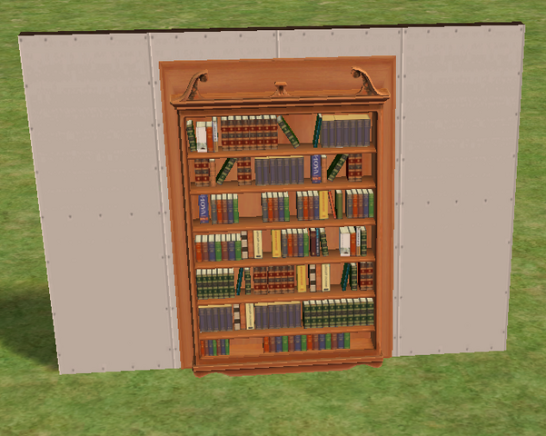 File:Ts2 very mysterious shelving.png