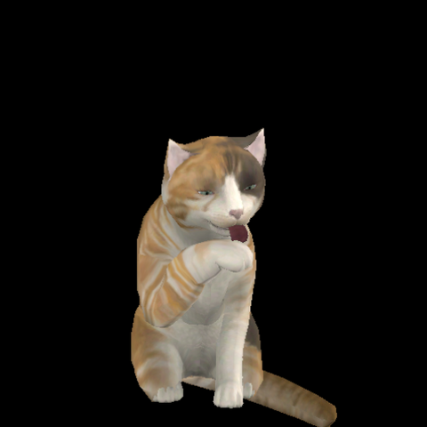 File:Maria Lionheart.png