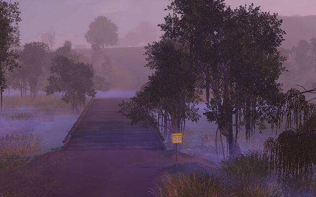 File:Swamp.jpg