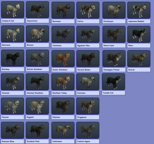 File:CatChart.jpg