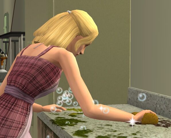 File:Cleaning.jpg