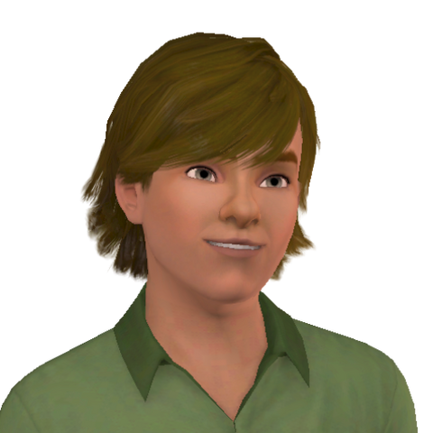File:Forest peddler.png