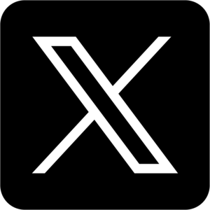File:Twitter icon logo.png