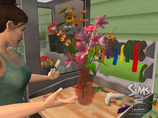 File:TS2OFB Gallery 20.jpg