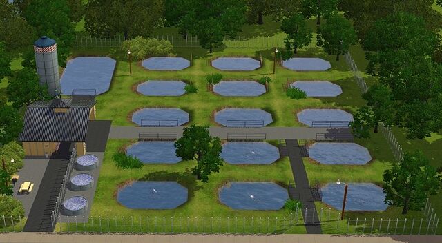 File:Fish Hatchery.jpg