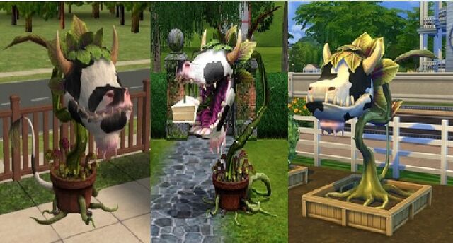 File:All Cowplants.jpg
