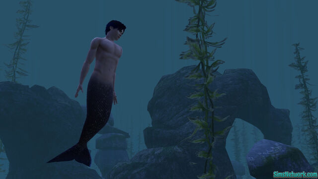 File:Mermansims.jpg