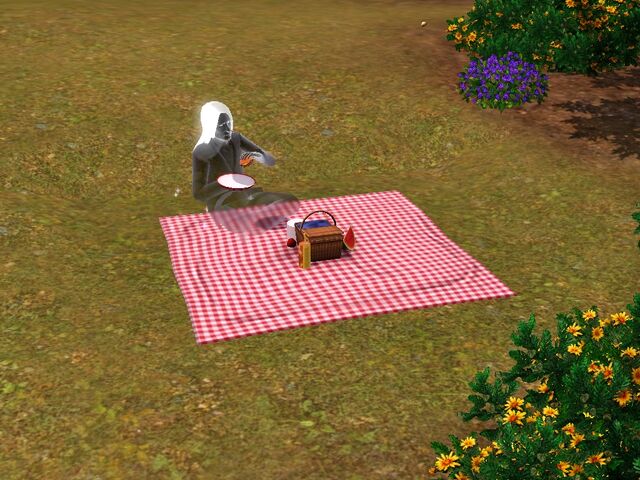File:Ghost picnic.jpg