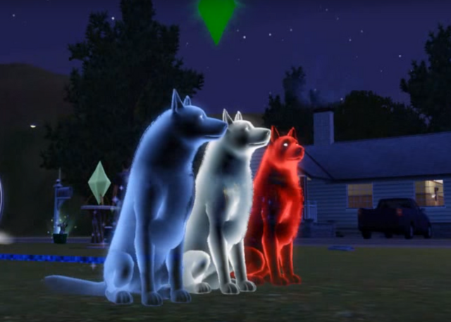 File:Compare with dogs.png