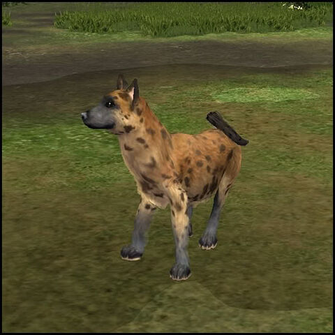 File:Hyena 2.jpg