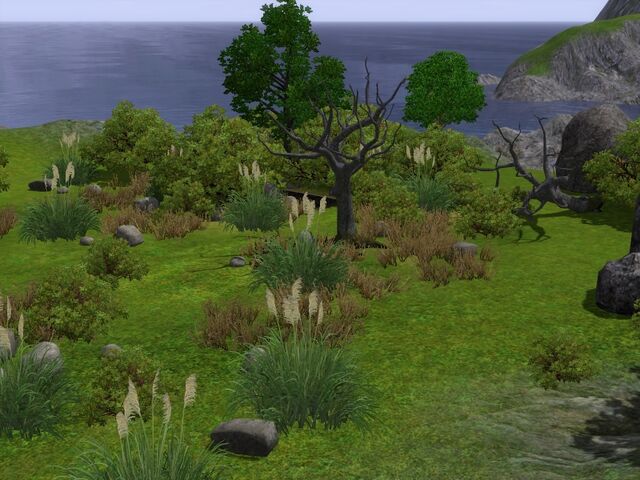 File:Barnacle bay nature.jpg