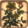 Wildblumen.jpg