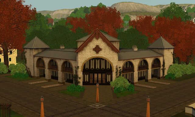 File:Sláinte chugat Harmony Hospital.jpg