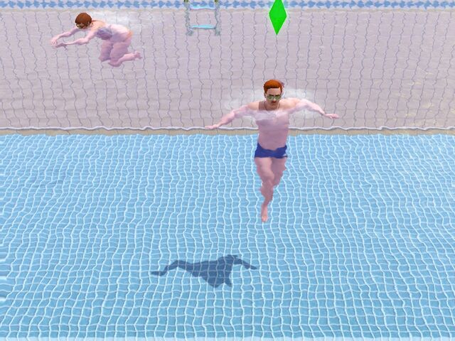 File:AngusSwimming.jpg