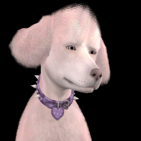File:Pantoufle Pelly.png