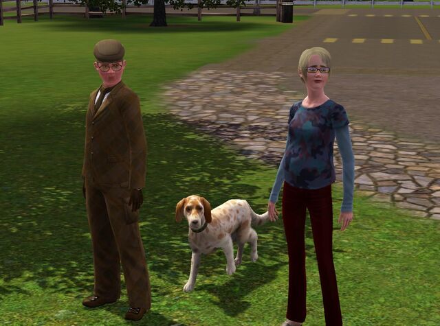 Datei:Bedlington.jpg