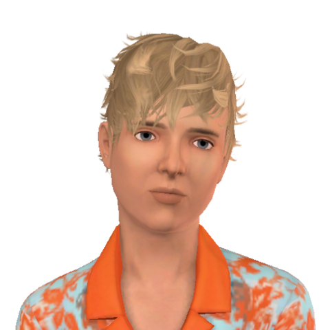 File:JoelVidal.png