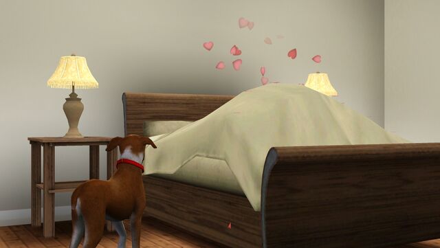 File:Doggywatches.jpg