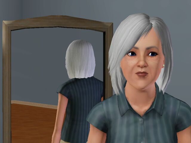 Archivo:Screenshot-22.jpg