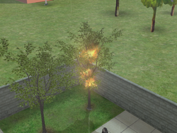 Árvore Pegando Fogo TS2.png