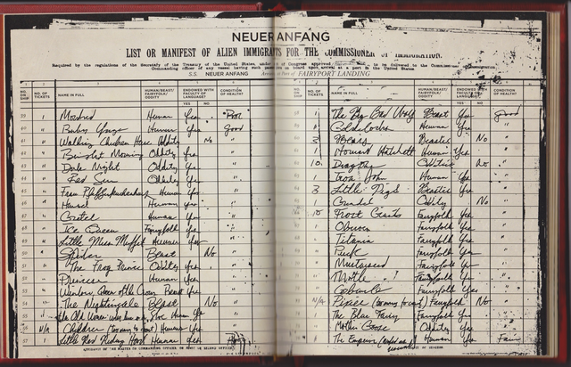File:Neur Anfang.png